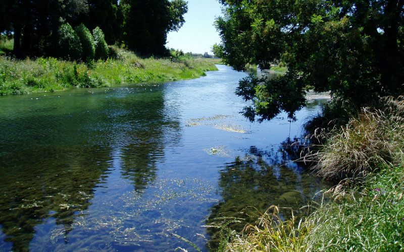 River Water Quality - Marlborough District Council